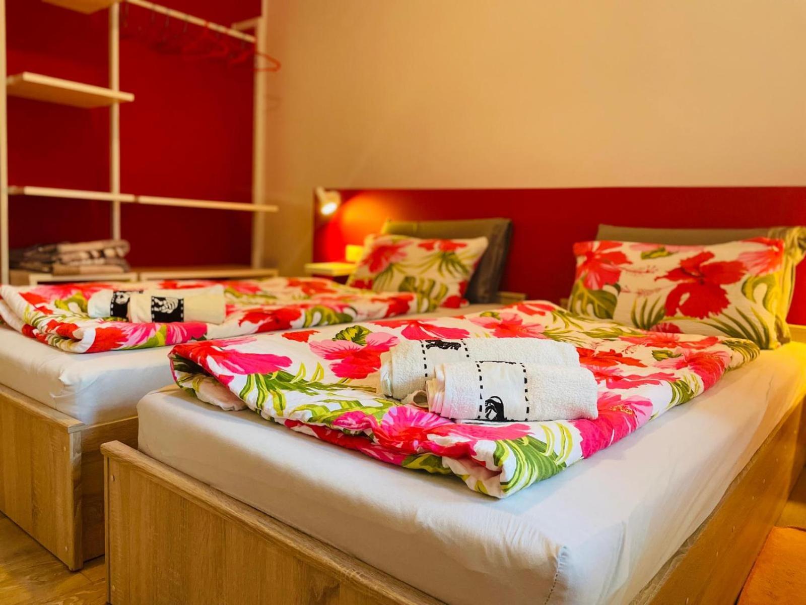 Boutique Apartment With Private Pool For Your Exclusive Use Novigrad Istria 외부 사진